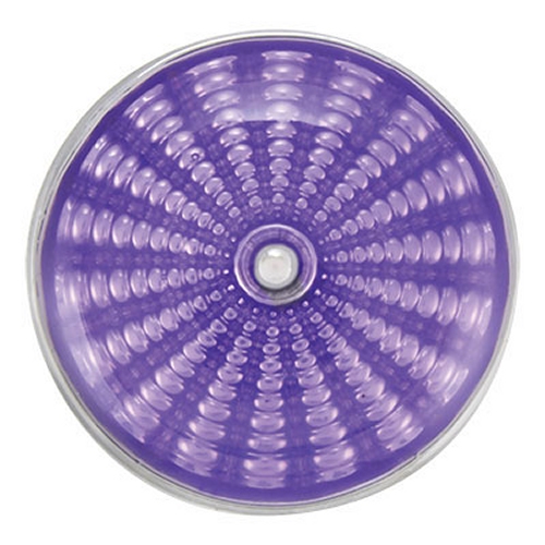 GINGER SNAPS RADIUS SNAP PURPLE