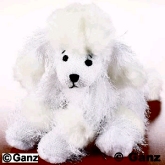 WHITE POODLE