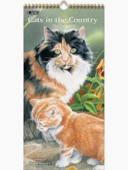 Cats in the Country 2027 Lang Vertical Wall Calendar
