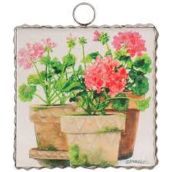 Mini Gallery Pots of Geraniums