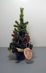 Tree Display