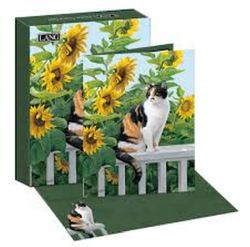 Sunflower Sanctuary Boxed Note Cards
